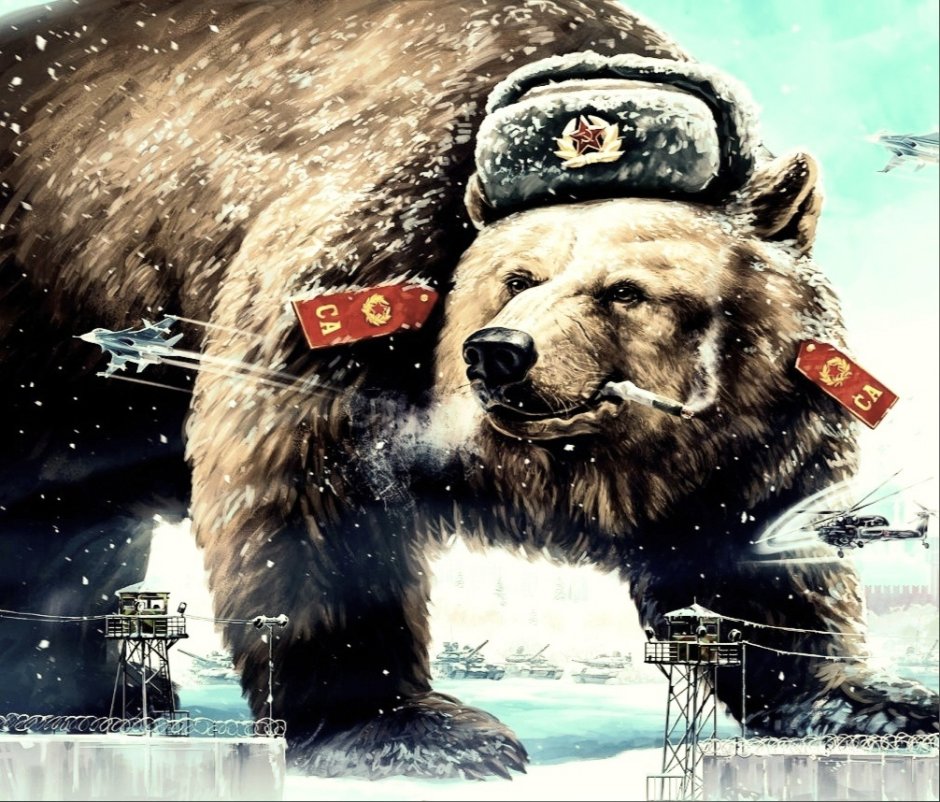 Русский медведь картинки