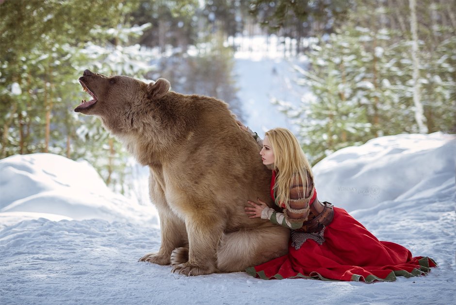 Медведь Степан Шапша