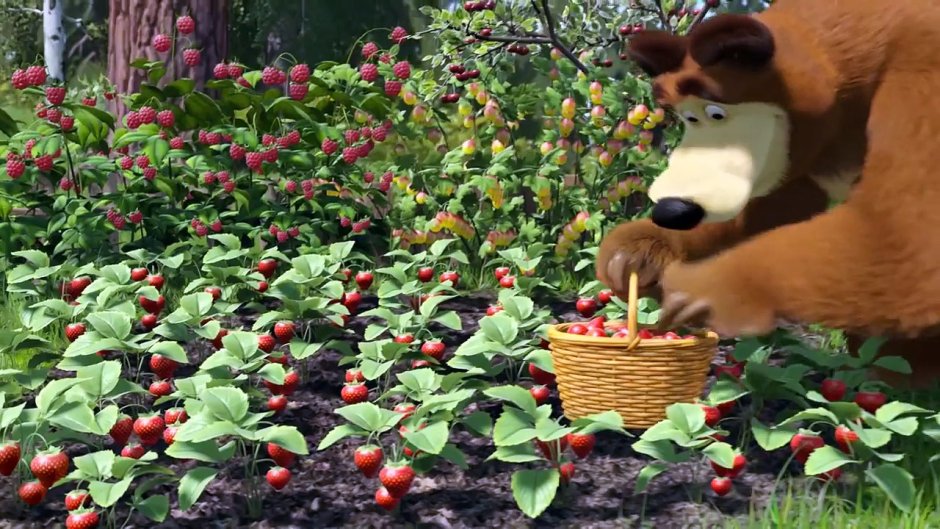 Маша и медведь ягоды