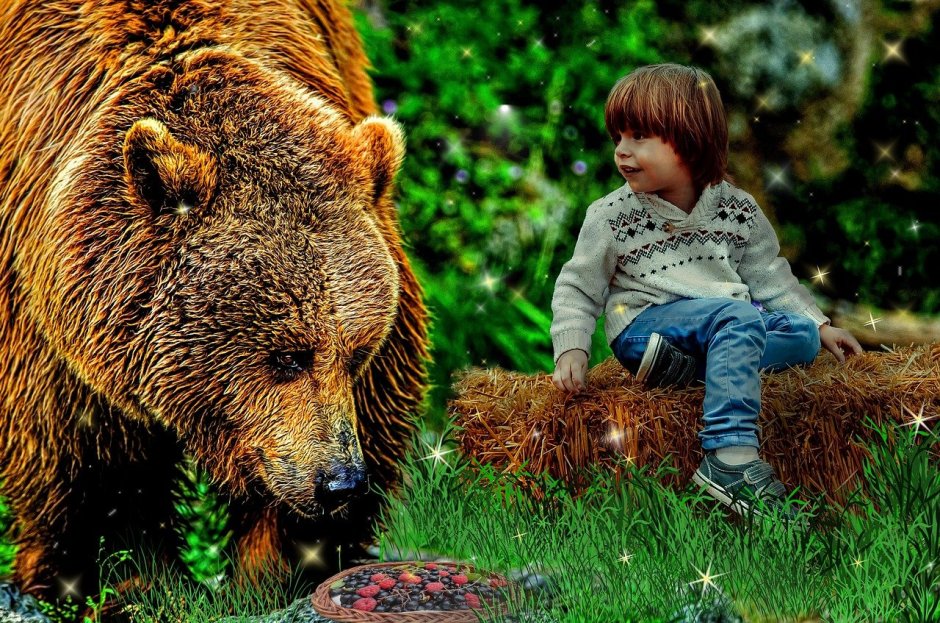 Мальчик и медведь в лесу