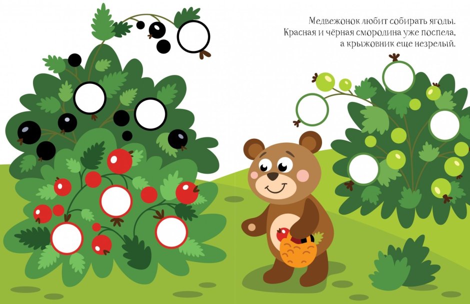 Таня Сытая художник медведь