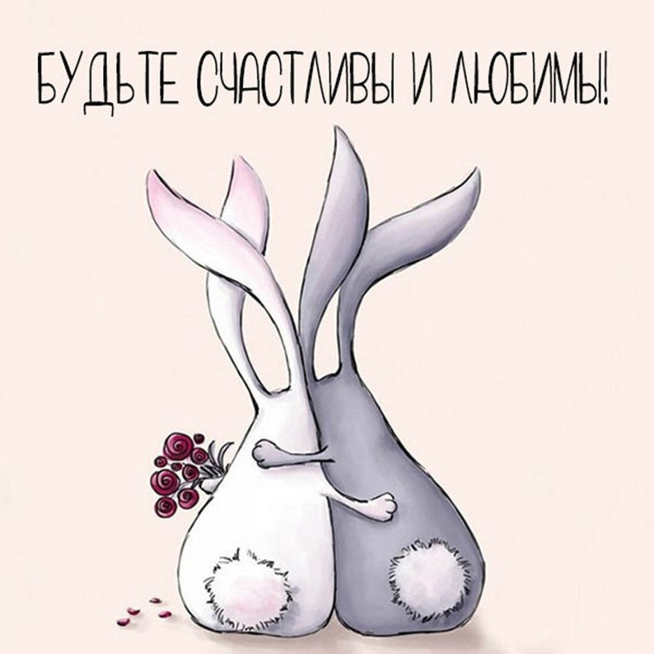 Смешные кролики