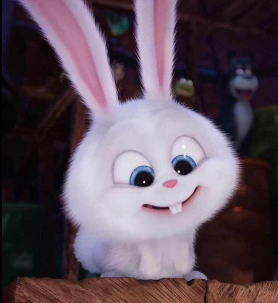 Bunny анимация