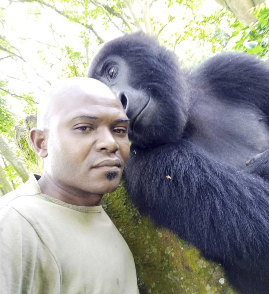 Человек похожий на обезьяну