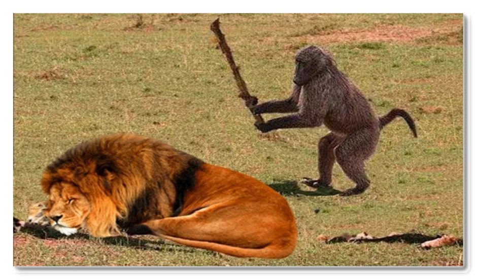Обезьяна бьет палкой Льва