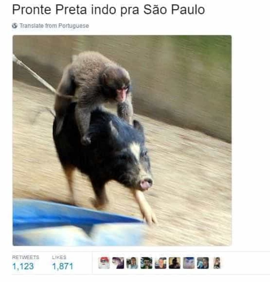 Обезьяна на кабане