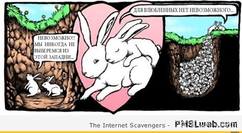 Кролик комикс