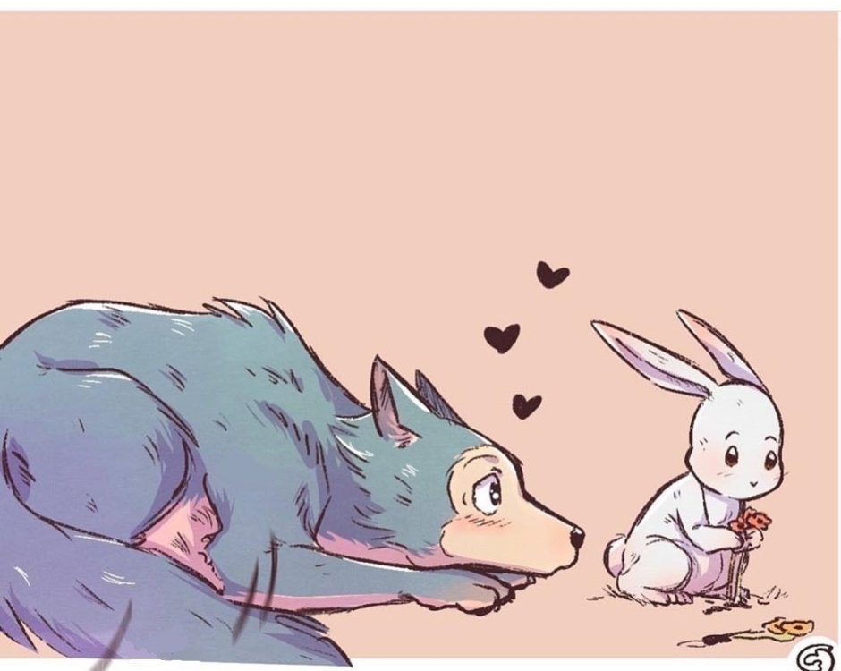 Кролик и волк