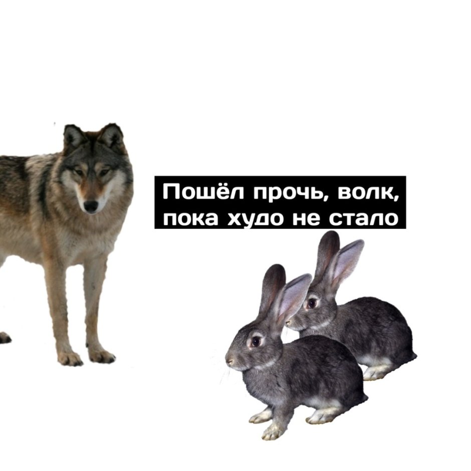 Фурри кролик