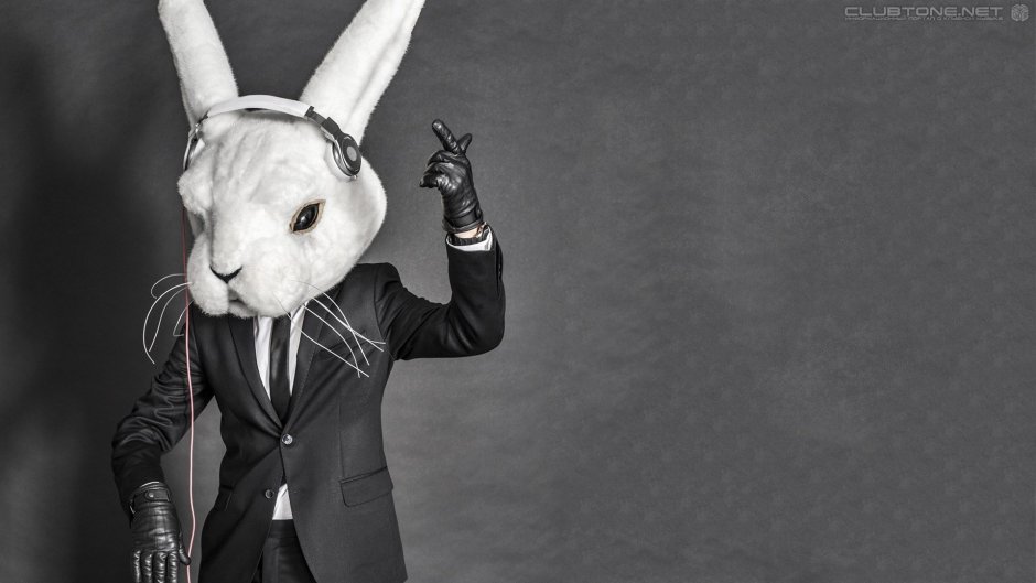 Человек заяц