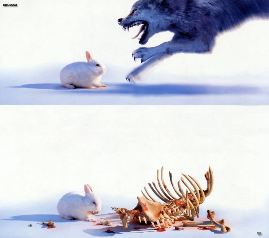 Внешность обманчива