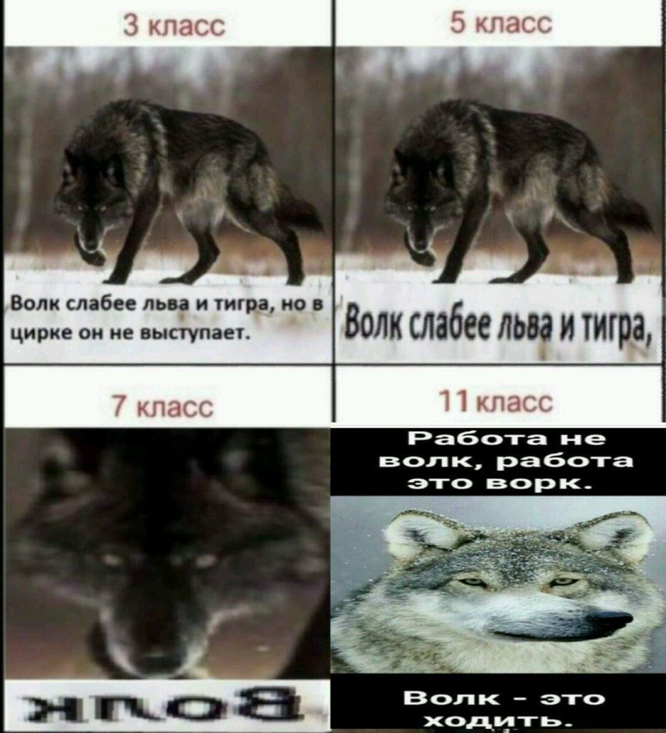 Цирк слабее Льва и волка