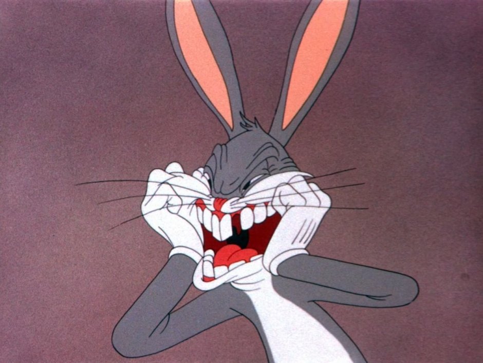 Мистер рэббит