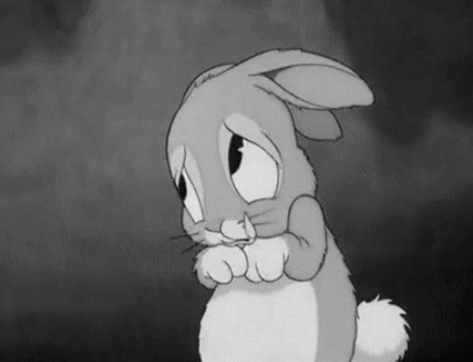 Кролик в квартире