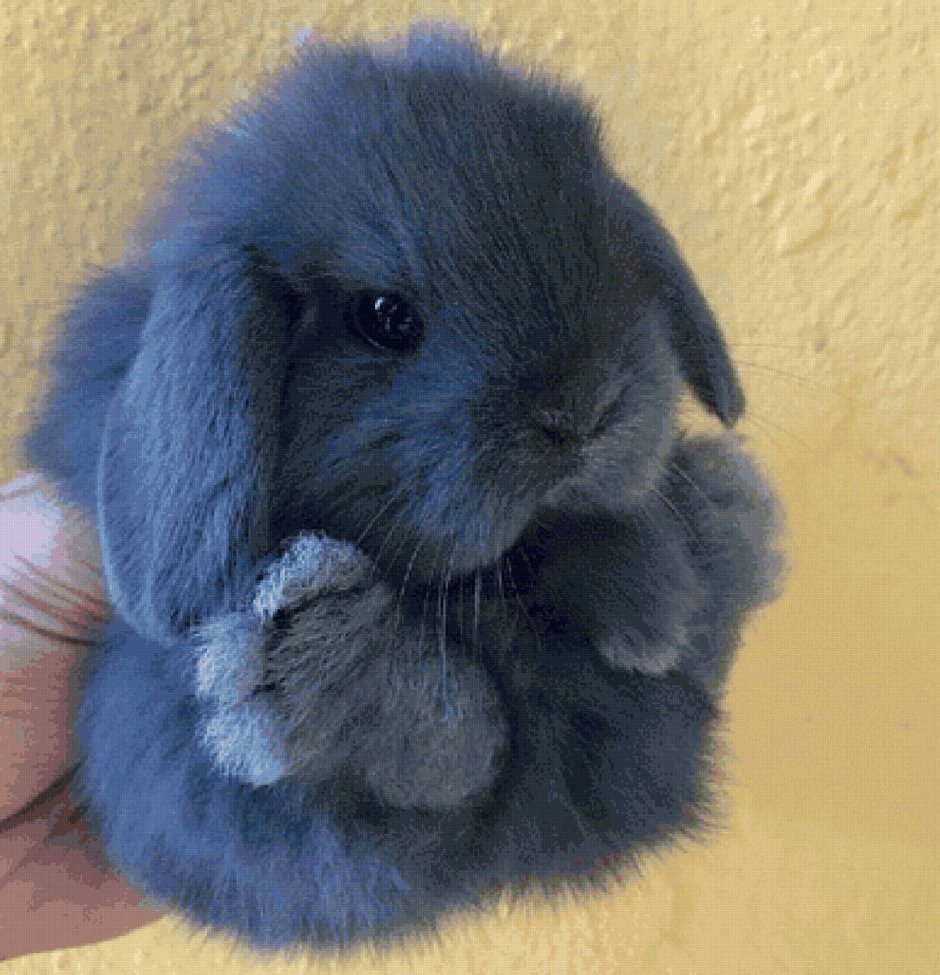 Кролл ВАЛАКАС