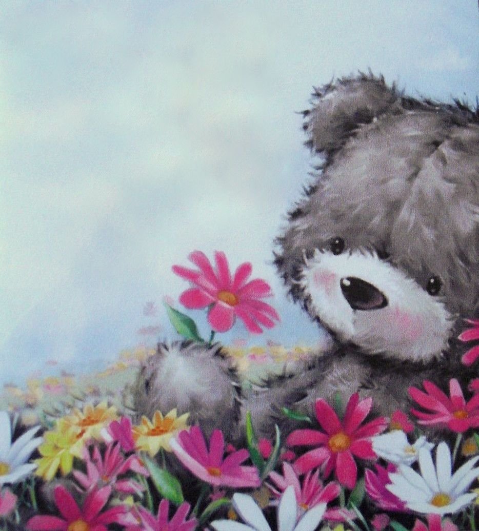 Животные в ромашках