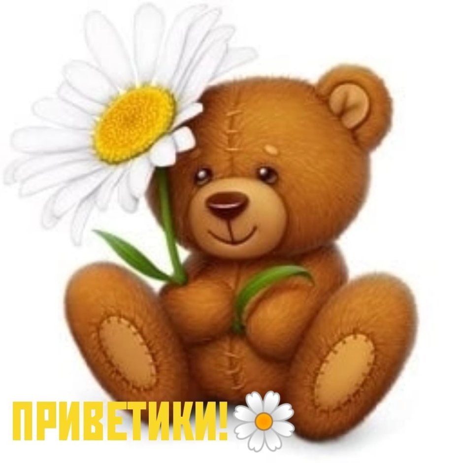 Медвежонок с ромашками