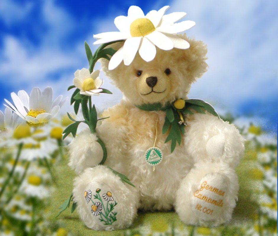 Мишка с ромашками