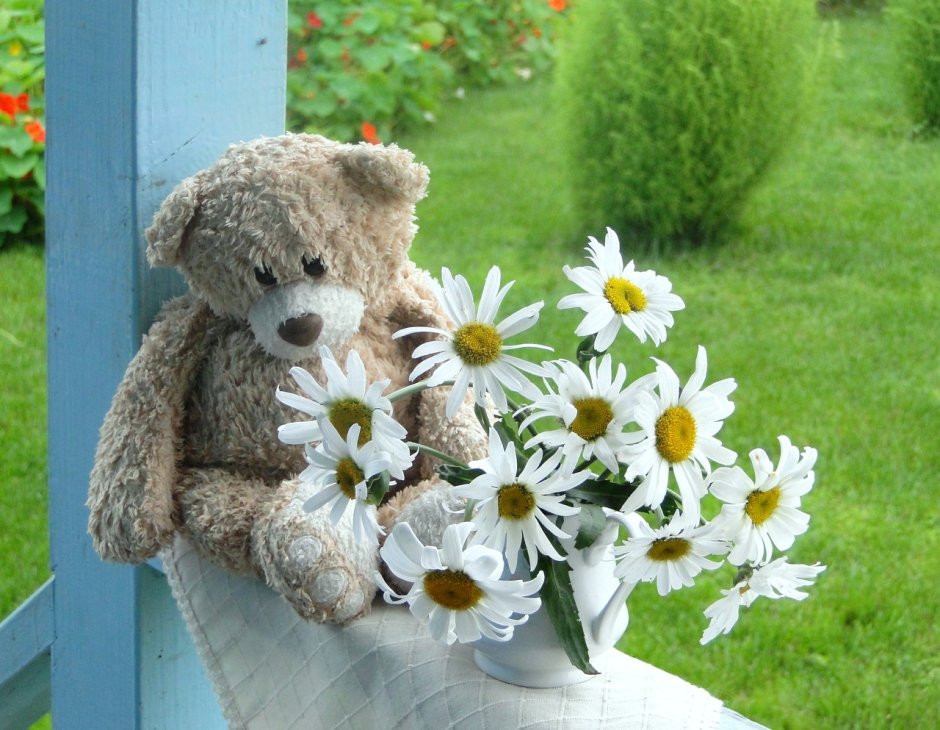Тедди с ромашкой