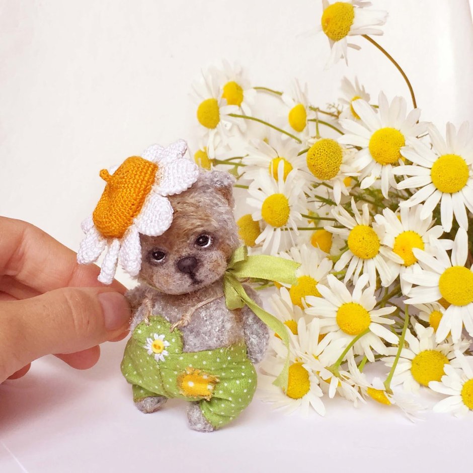 Медведь с ромашкой