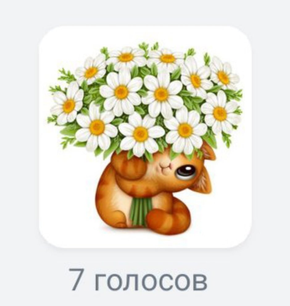 Тедди с ромашкой