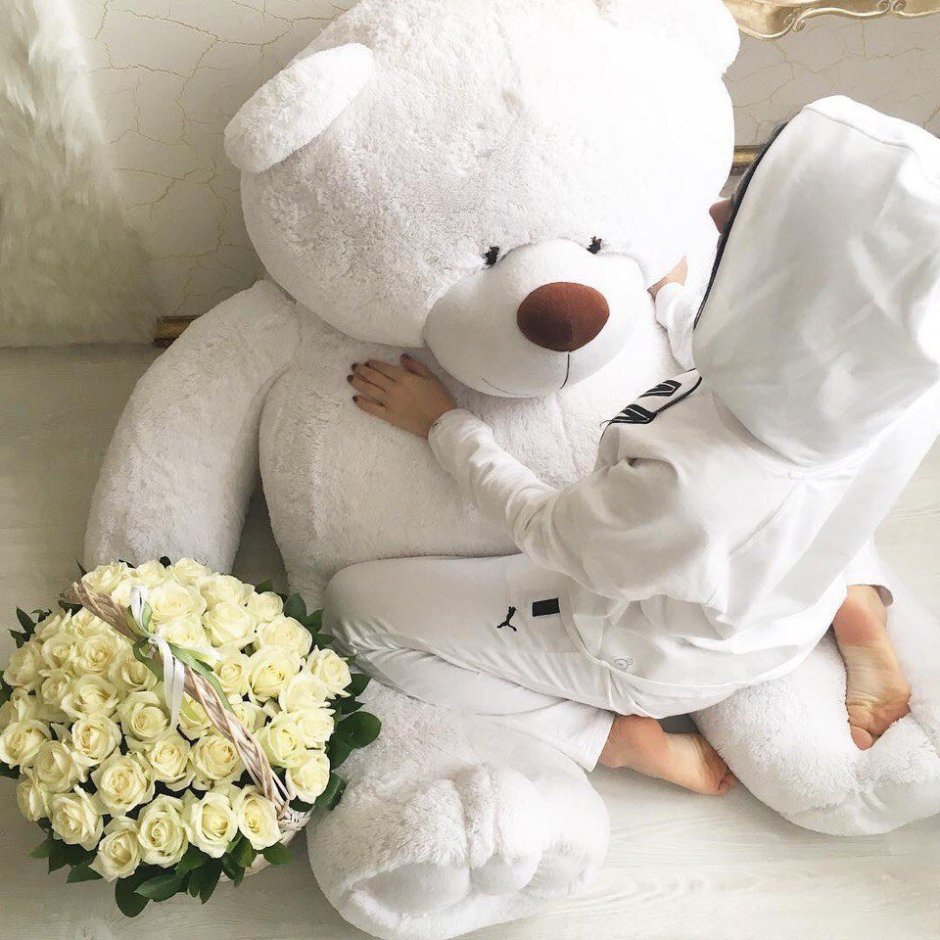 Светлячок Трям Здравствуйте