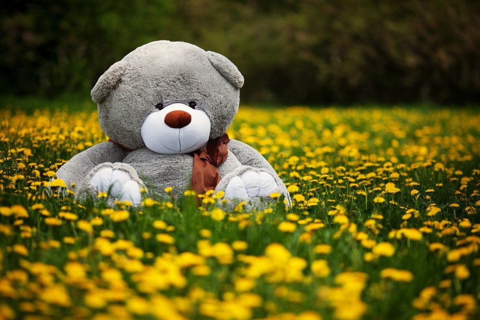 Медведь Физзи Мун