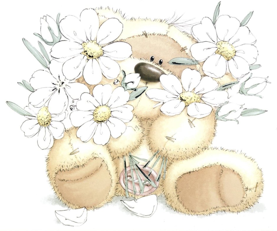 Медведь с ромашкой