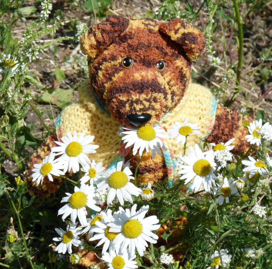 Мишка с ромашками