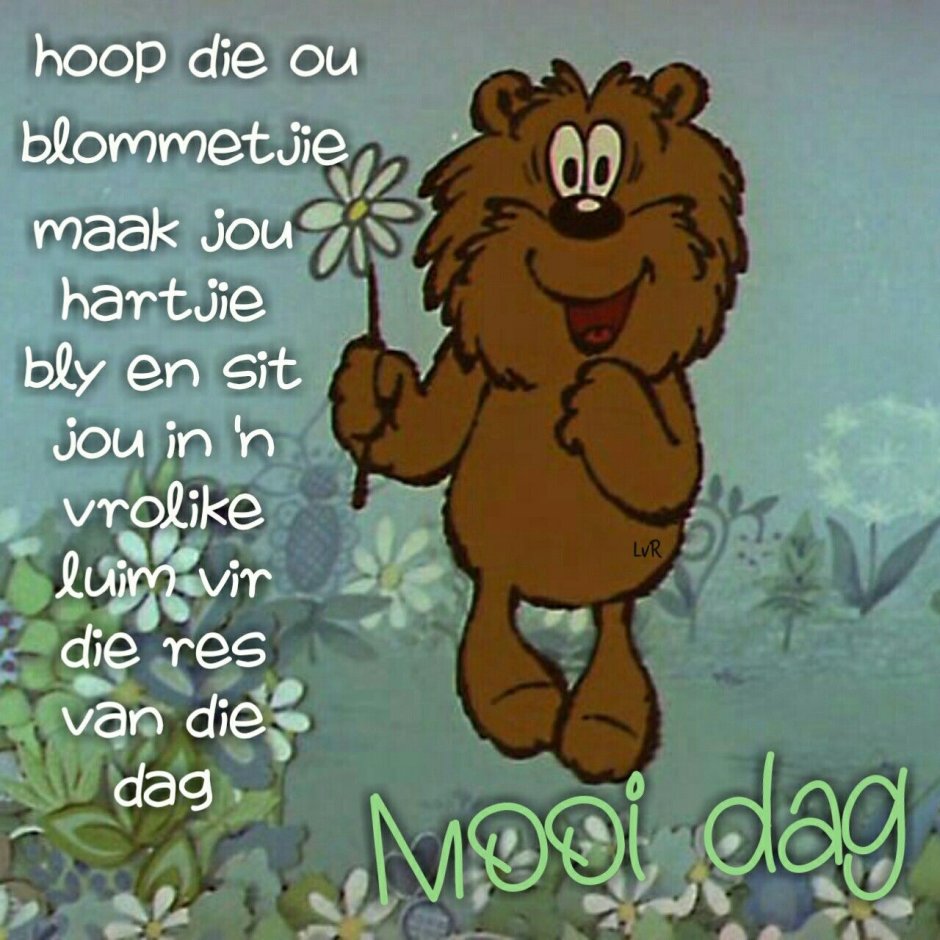 Белый медведь