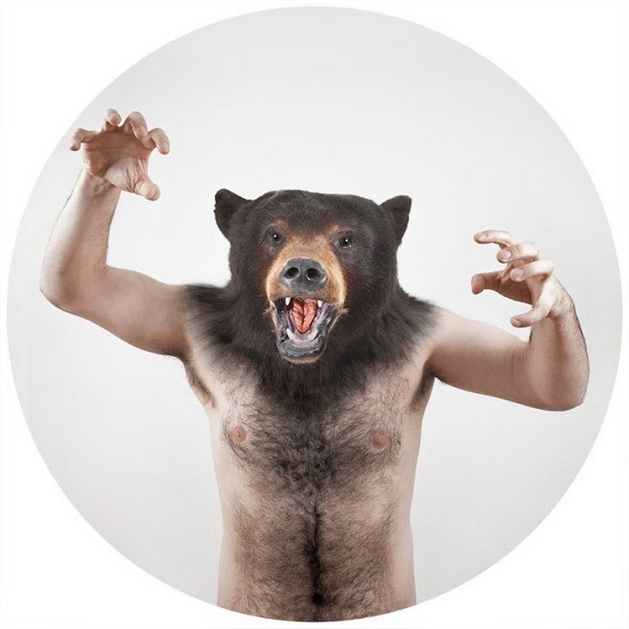 Медведь и человек