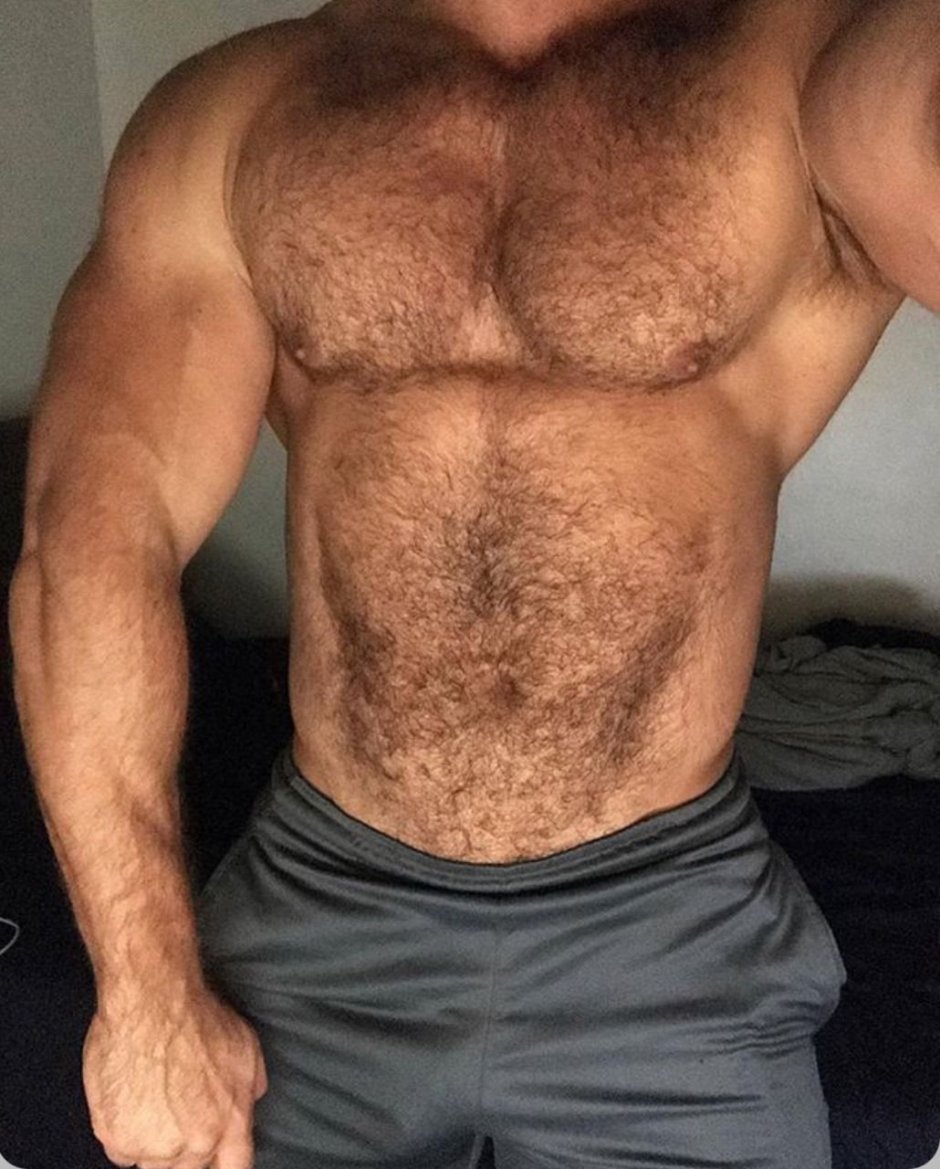 Мужская накаченная волосатая грудь