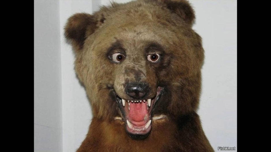 Неудачные чучела животных