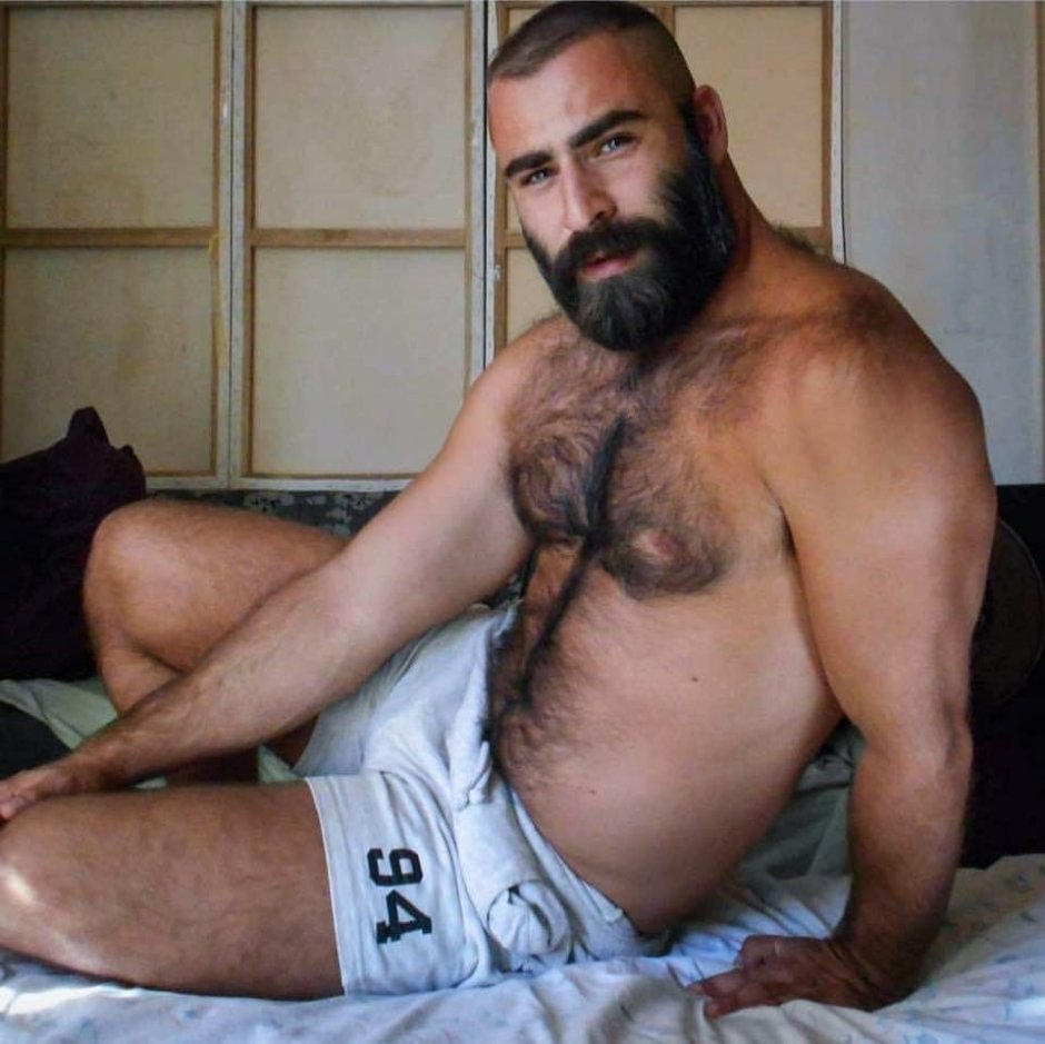 Турецкий мишка gay