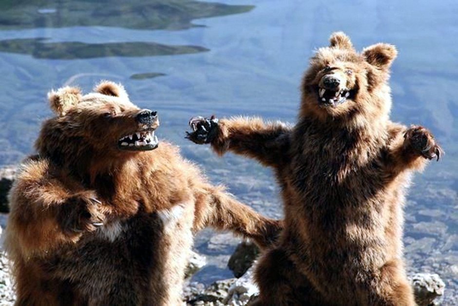 Упоротое чучело медведя