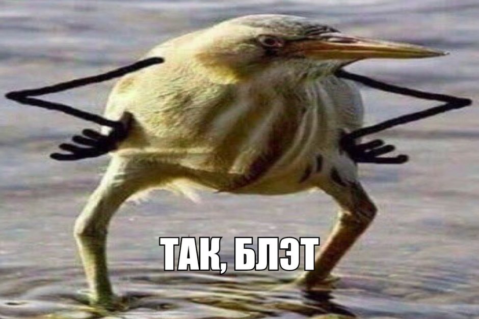 Сойка Сибирская