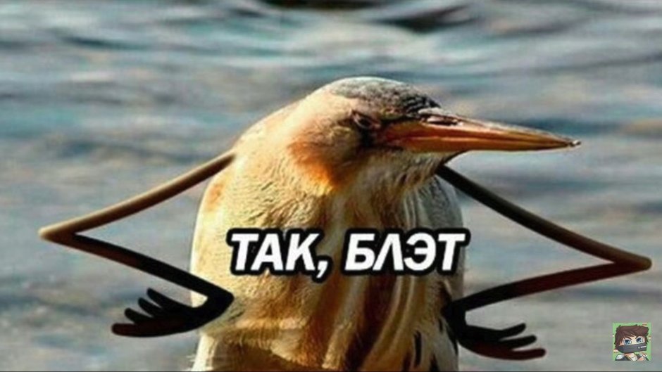 Штош Мем