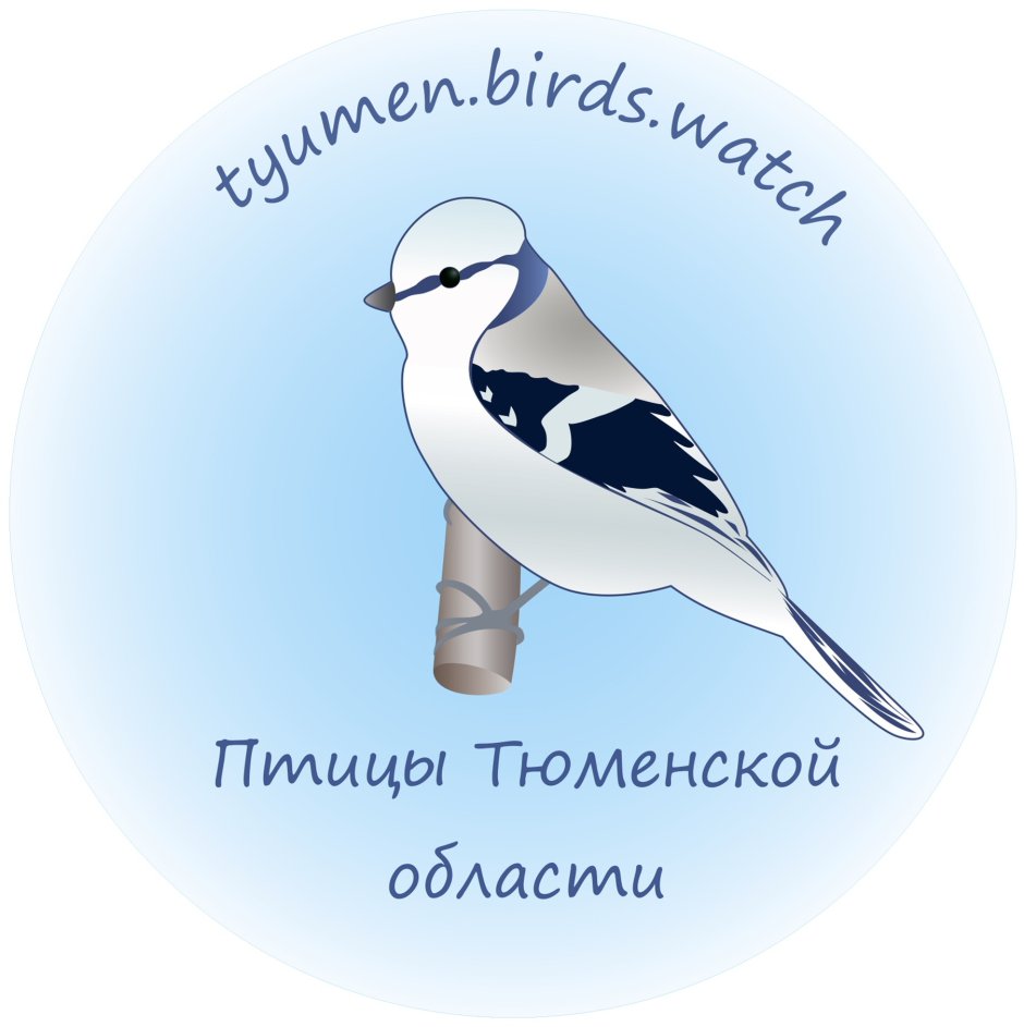 Так блэт птичка Мем