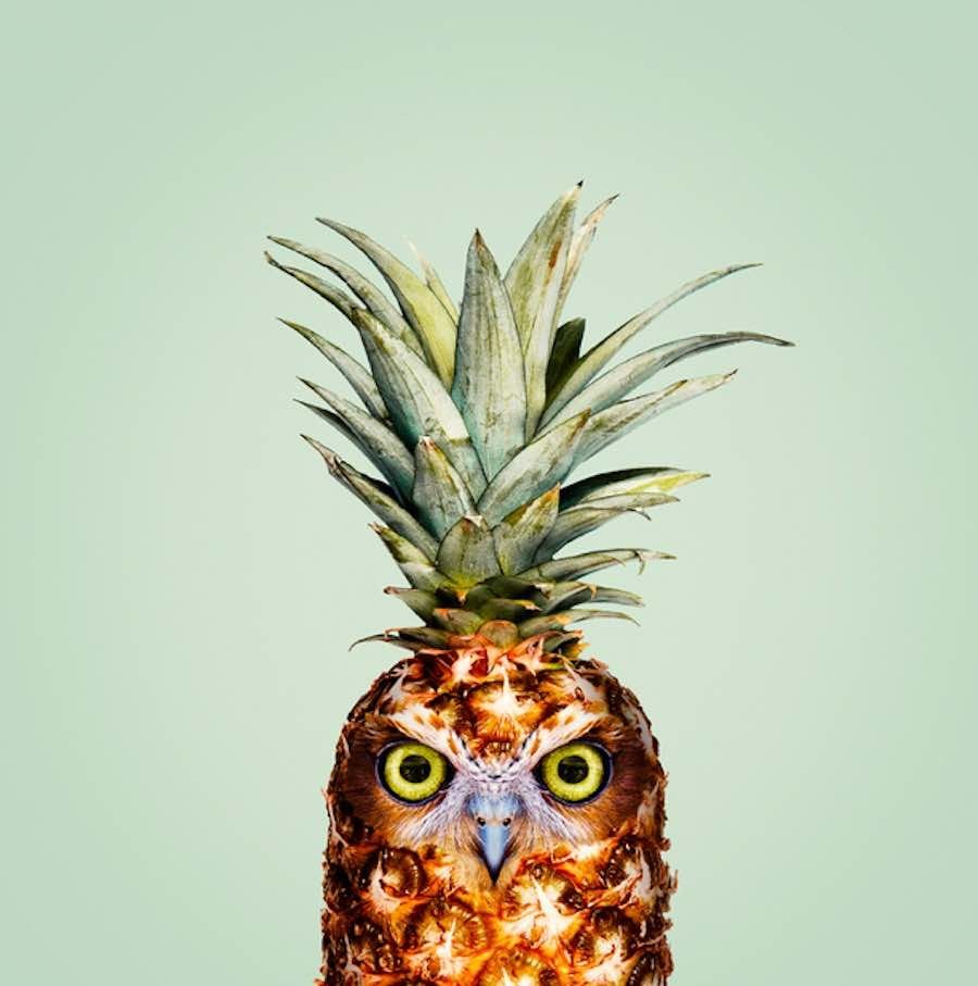 Ананасовая Сова
