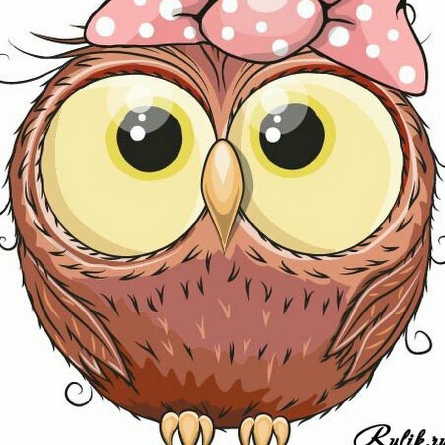 Сова мультяшный