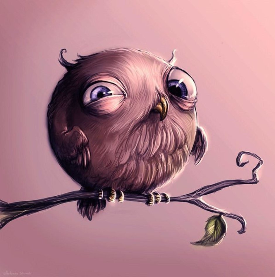 Сова рисунок