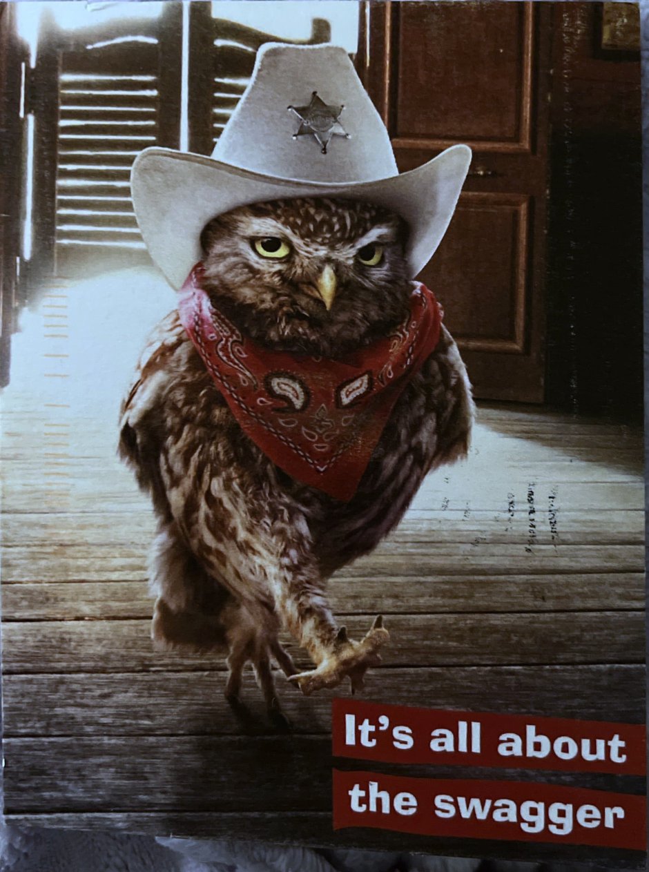 Сова в ковбойской шляпе