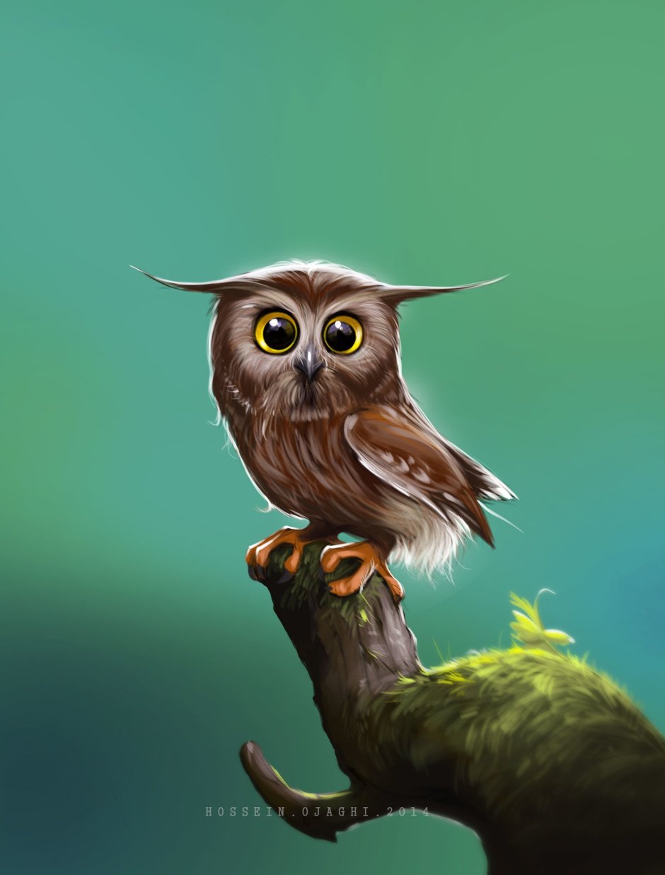 Кофе с изображением Совы