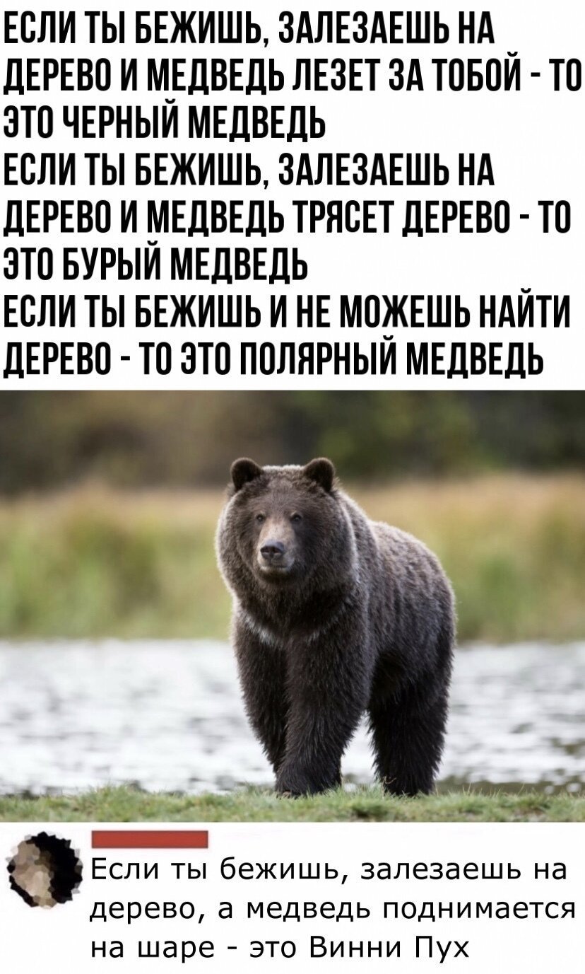 Страшный плюшевый мишка