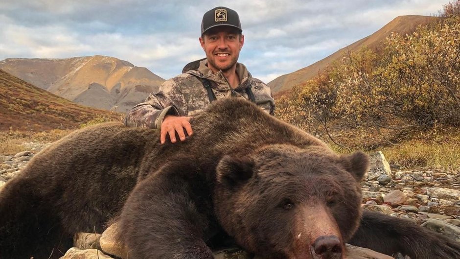 Морда медведя оскал