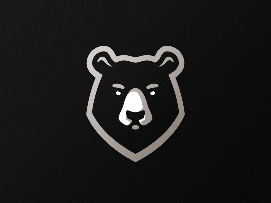 Оскал медведя картинки