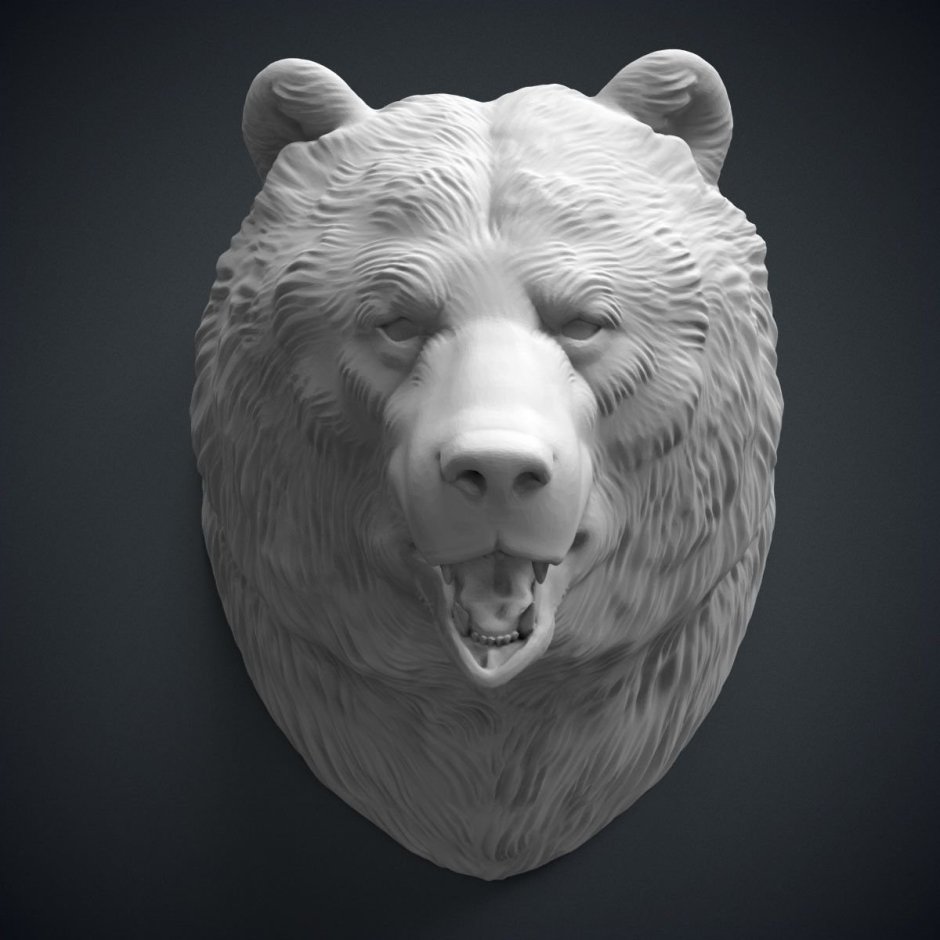 Голова медведя