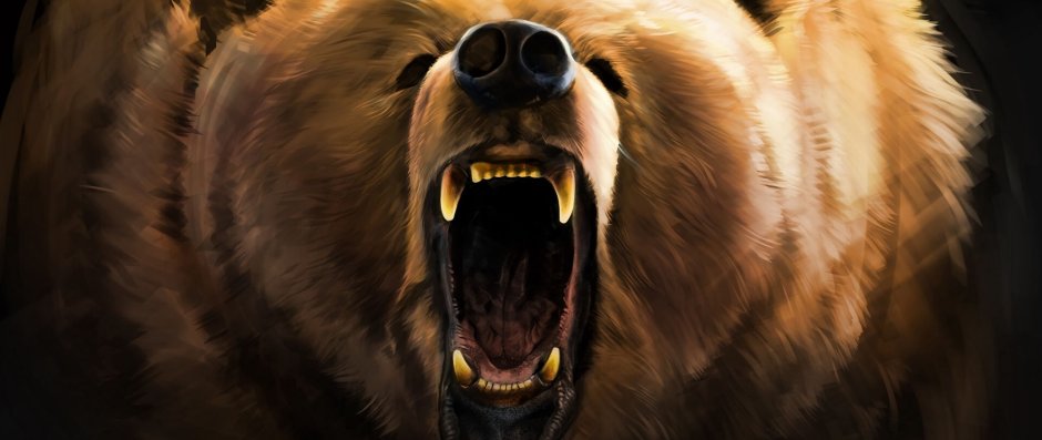 Нос медведя