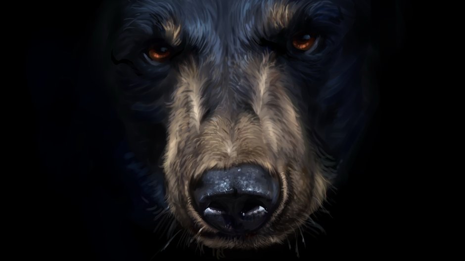 Гризли Grizzly, Гризли, медведь.