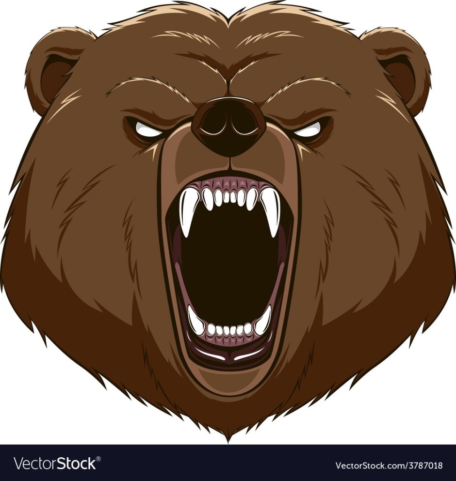 Медвежий оскал в профиль